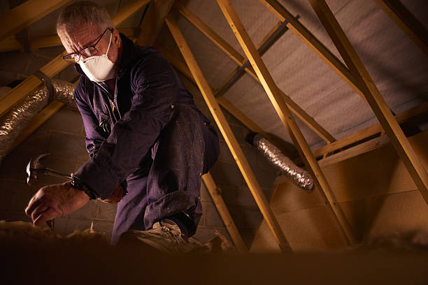 Best Eco-Friendly Insulation in Lake Waynoka, OH